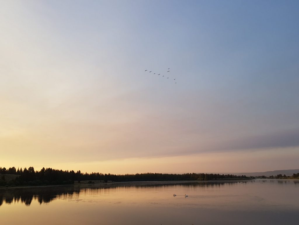 20180808_064435
